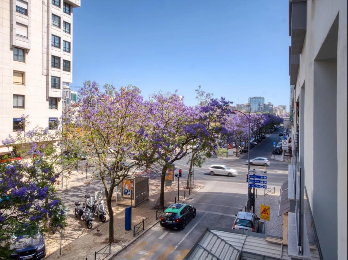 Apartamento T3 com jardim, Campo Grande, Lisboa - Imagem 28