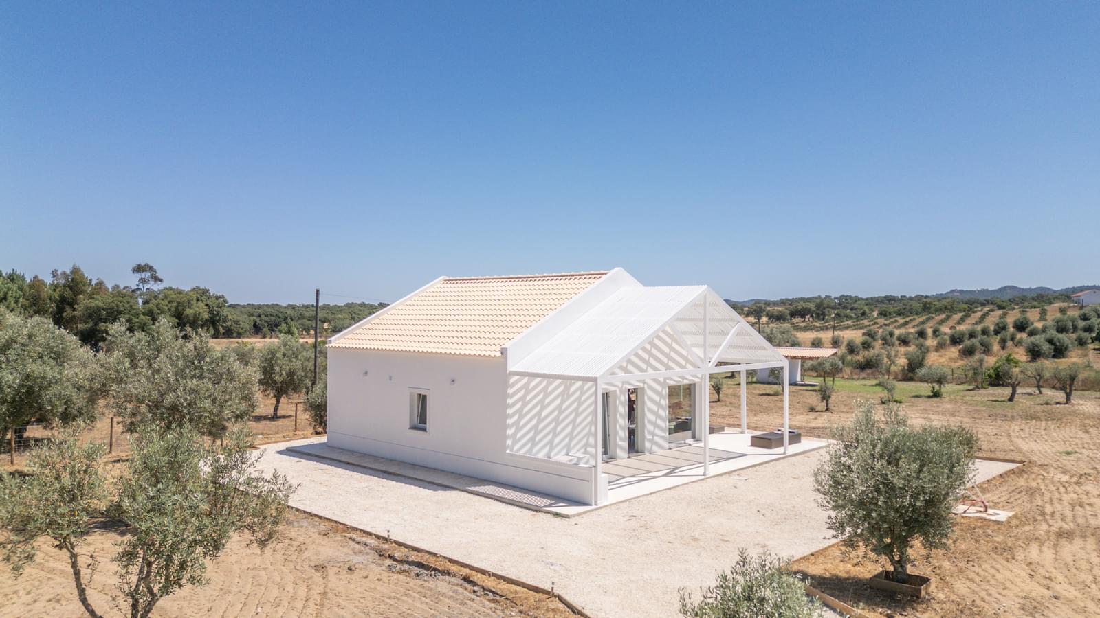 Quintinha 9300 m2, Grandola - Imagem 4