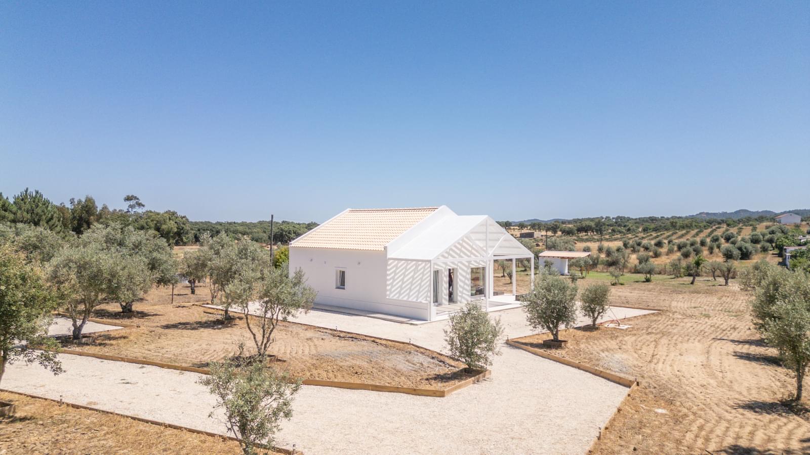 Quintinha 9300 m2, Grandola - Imagem 2