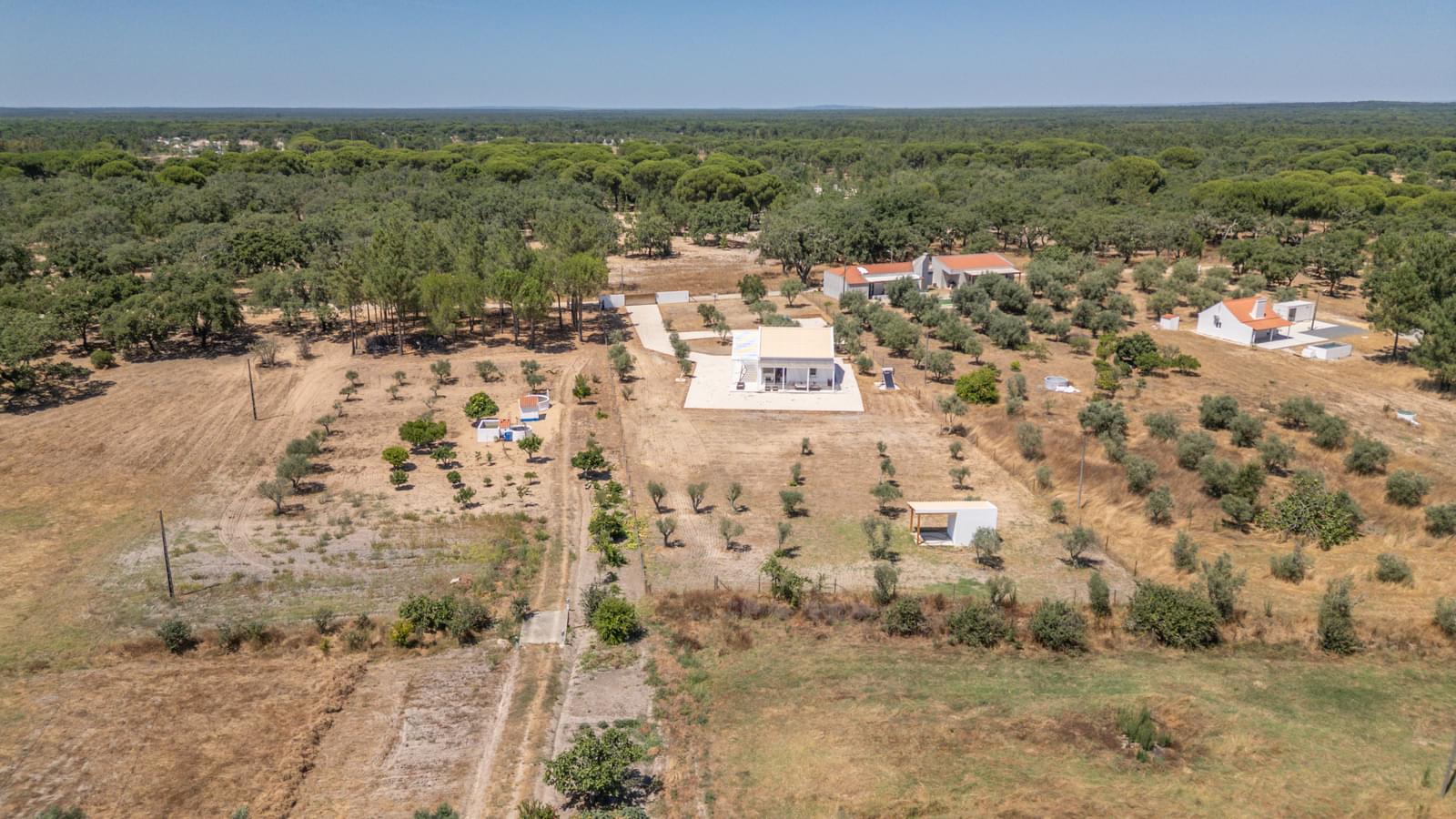 Quintinha 9300 m2, Grandola - Imagem 31