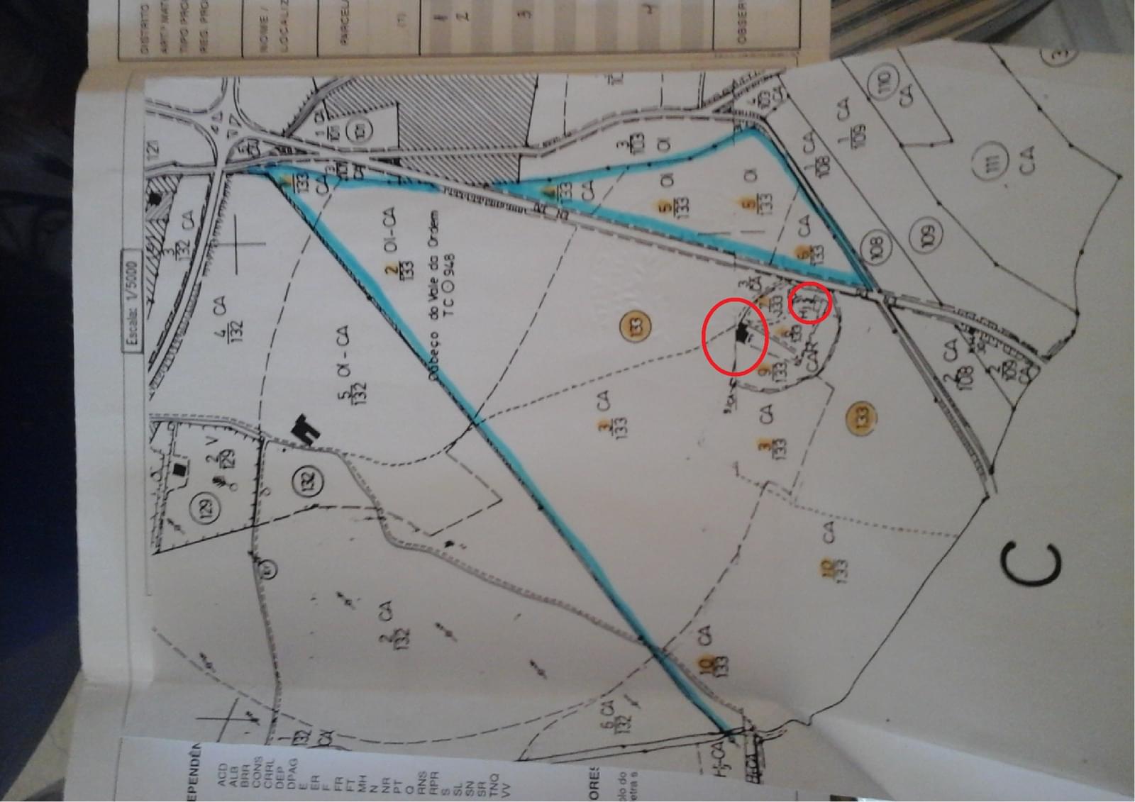 Terreno Misto 22.2 ha, Avis - Imagem 5