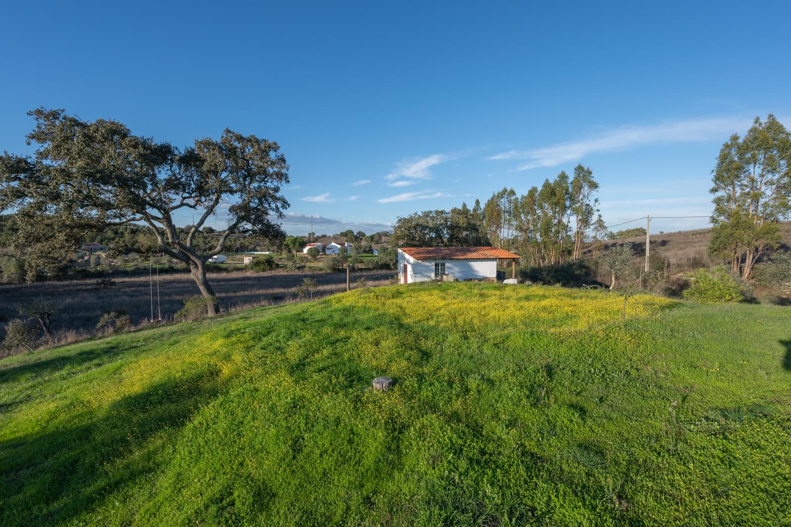 2 Bedroom Farm/Ranch/Plantation's Image 27