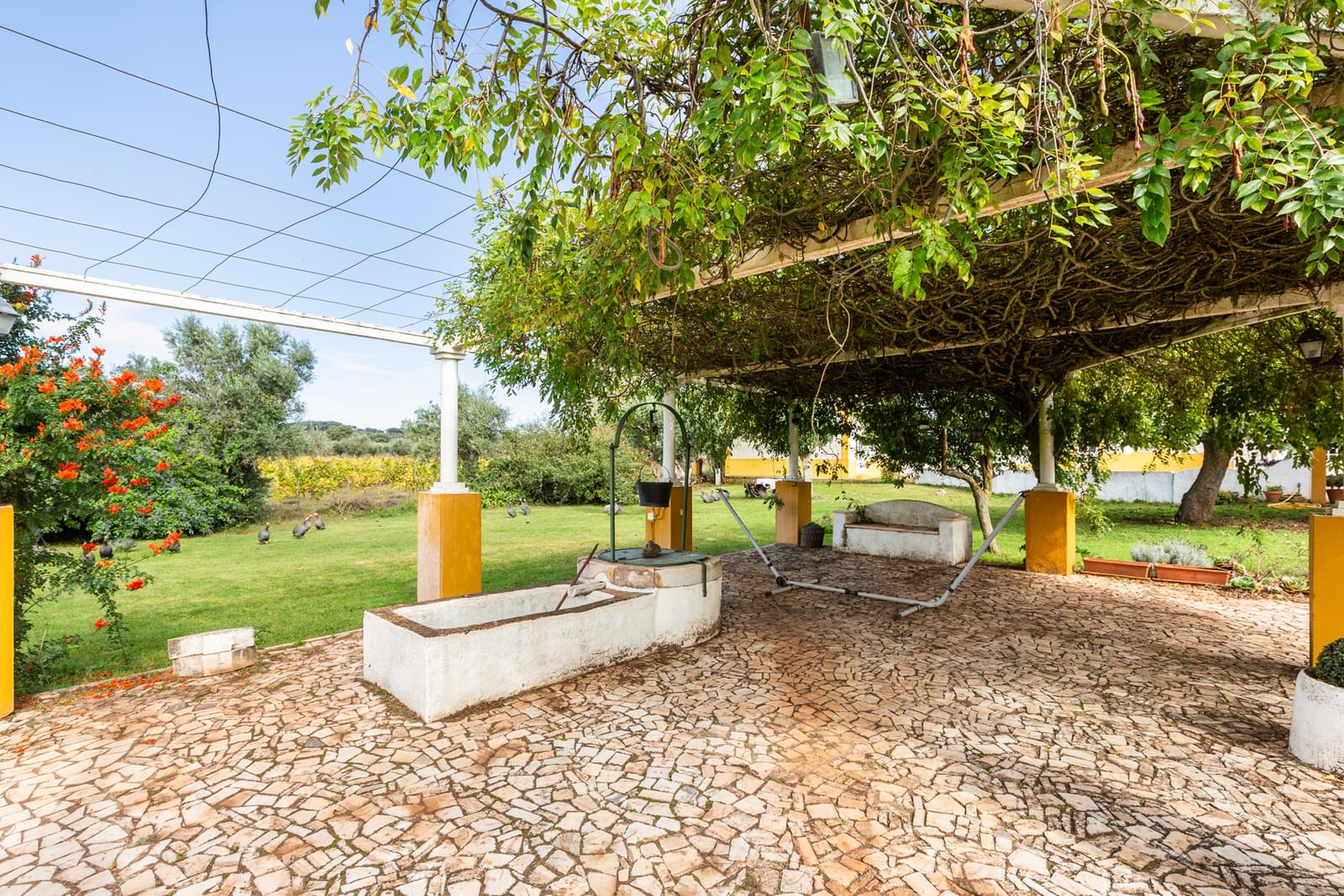 5 Bedroom Farm/Ranch/Plantation's Image 40