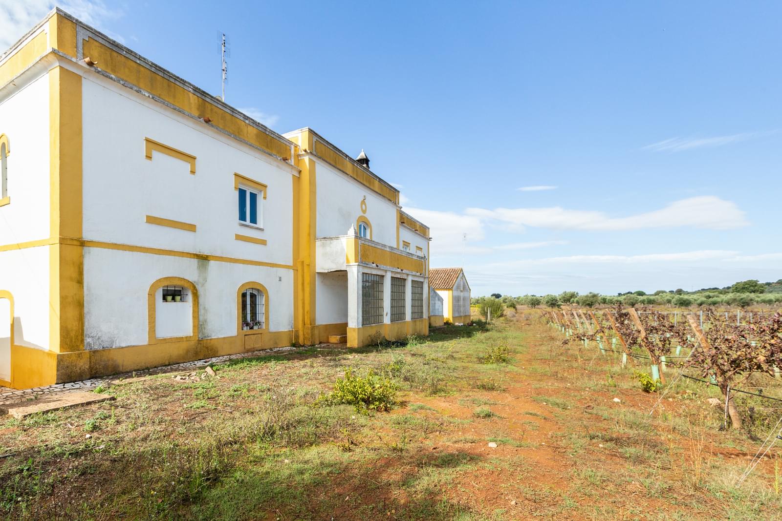 5 Bedroom Farm/Ranch/Plantation's Image 43
