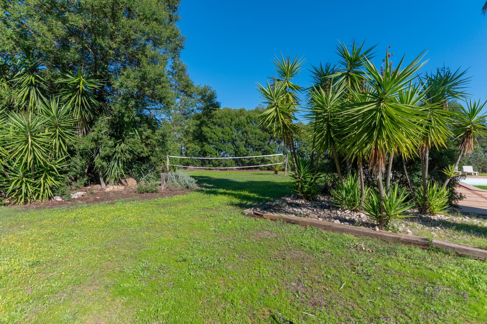 13 Bedroom Farm/Ranch/Plantation's Image 38