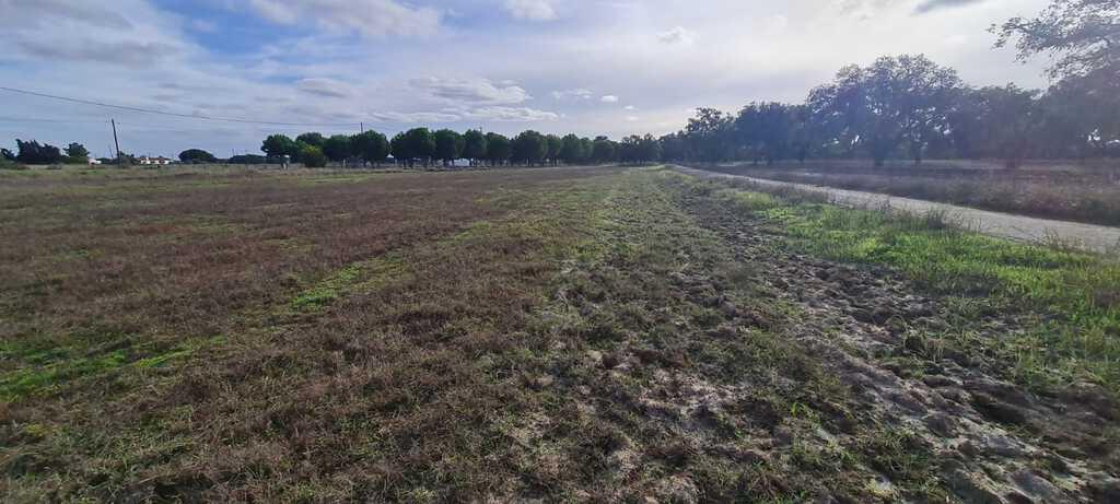 Mixed land 4.0 ha, Água Derramada, Grandola 2554747292