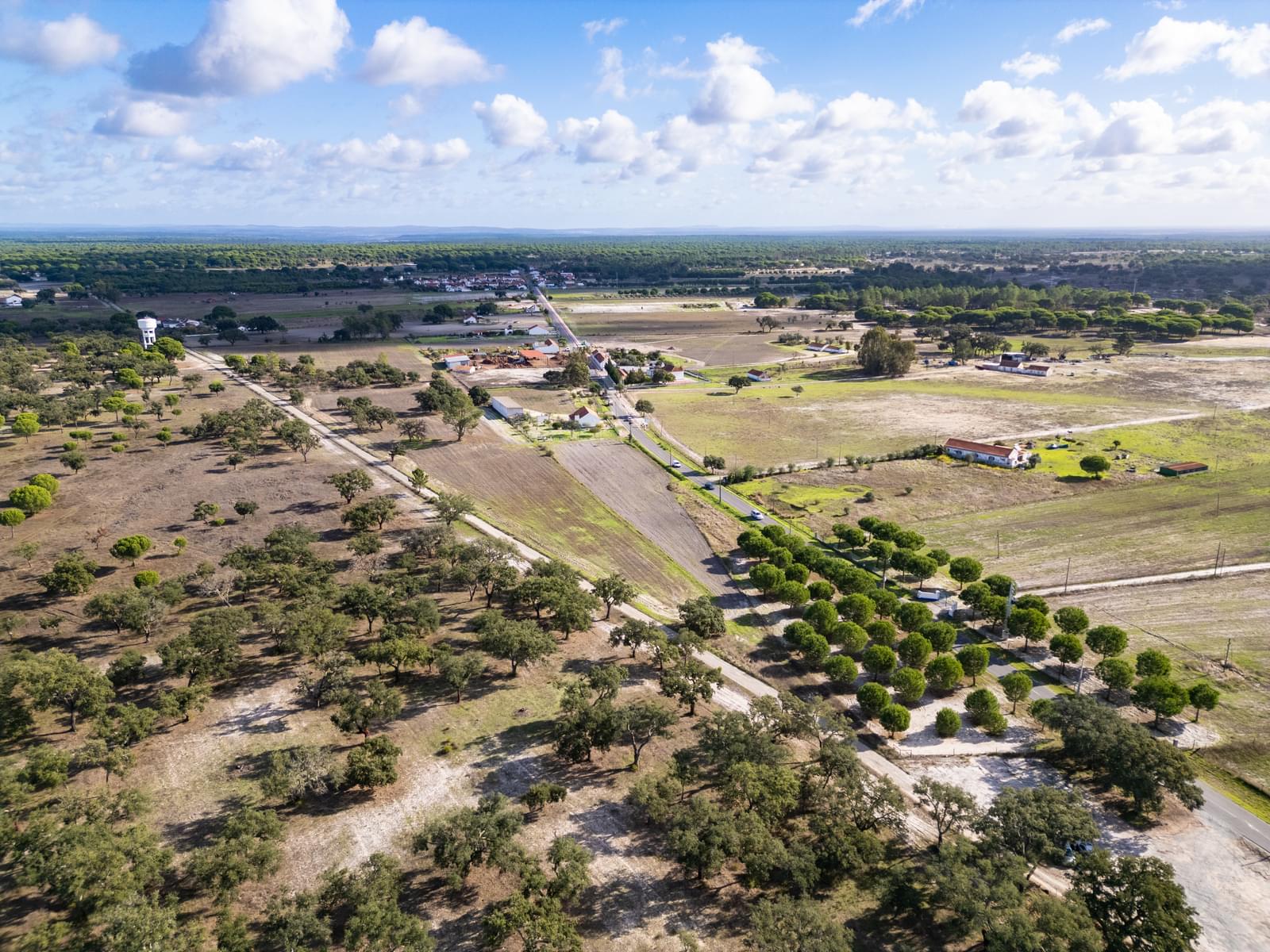 Terreno Misto 4.0 ha, Água Derramada, Grandola - Imagem 9