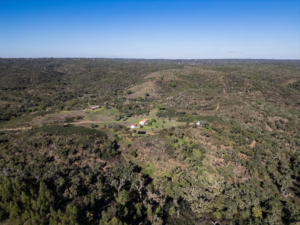 Mixed land 5.2 ha, São Bartolomeu da Serra, Santiago do Cacem 4198249663