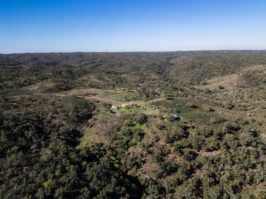 Mixed land 5.2 ha, São Bartolomeu da Serra, Santiago do Cacem 4198249663