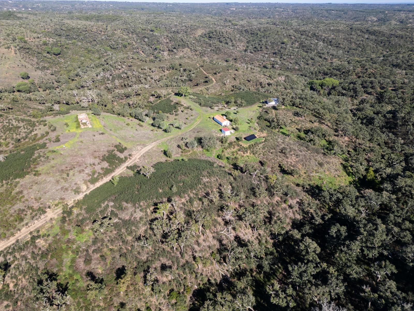Terreno Misto 52.5 ha, São Bartolomeu da Serra, Santiago do Cacem - Imagem 2