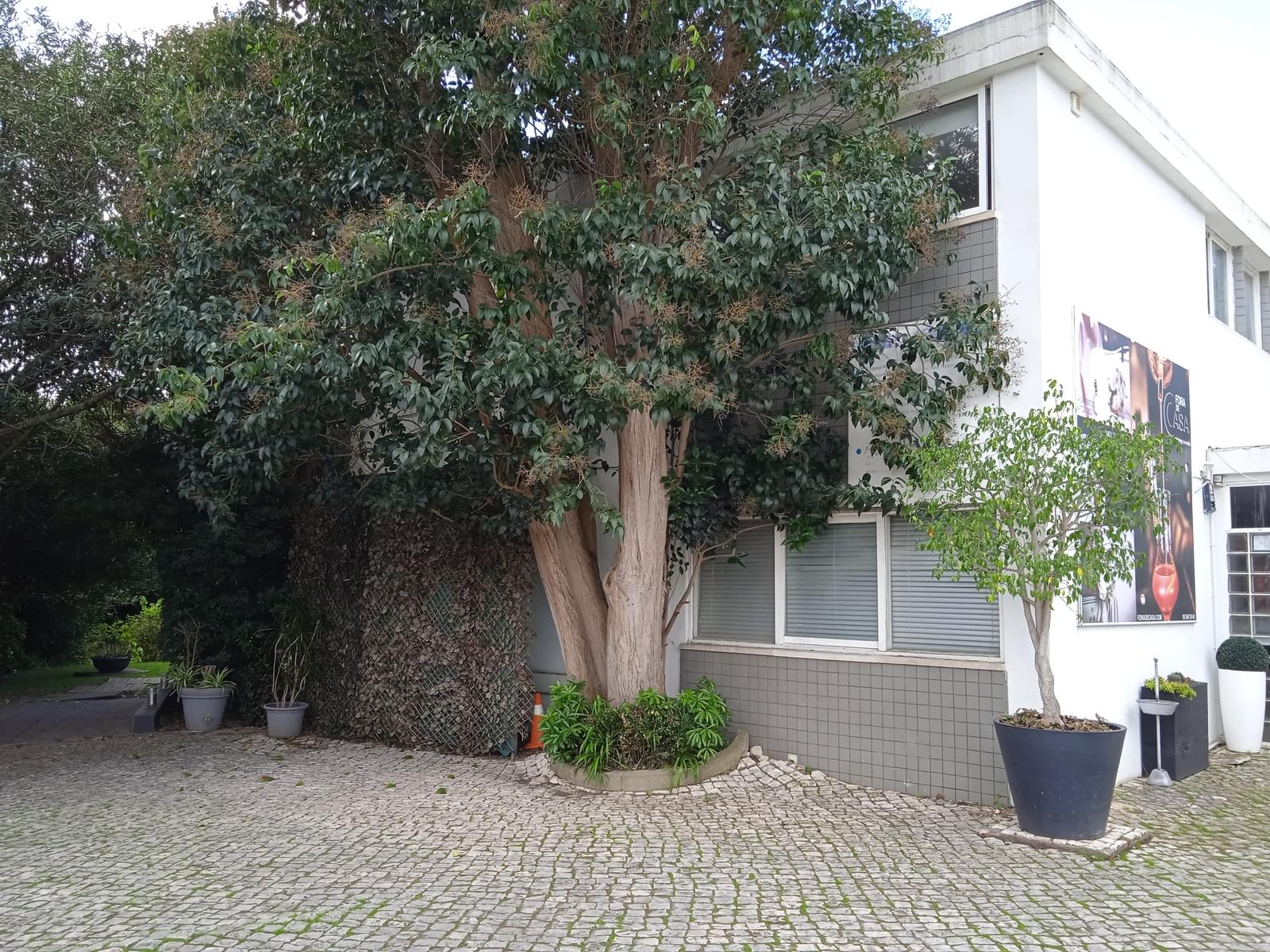 Moradia Isolada T5 com jardim, Belém, Lisboa - Imagem 30