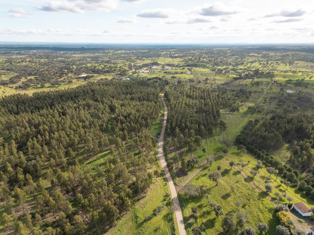 Rural land 16.0 ha, Azinheira dos Barros, Grandola 2111050164