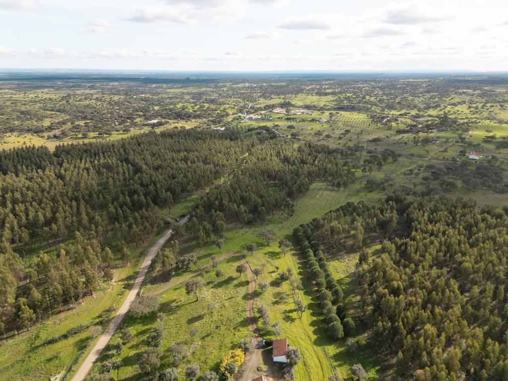 Rural land 16.0 ha, Azinheira dos Barros, Grandola 2111050164