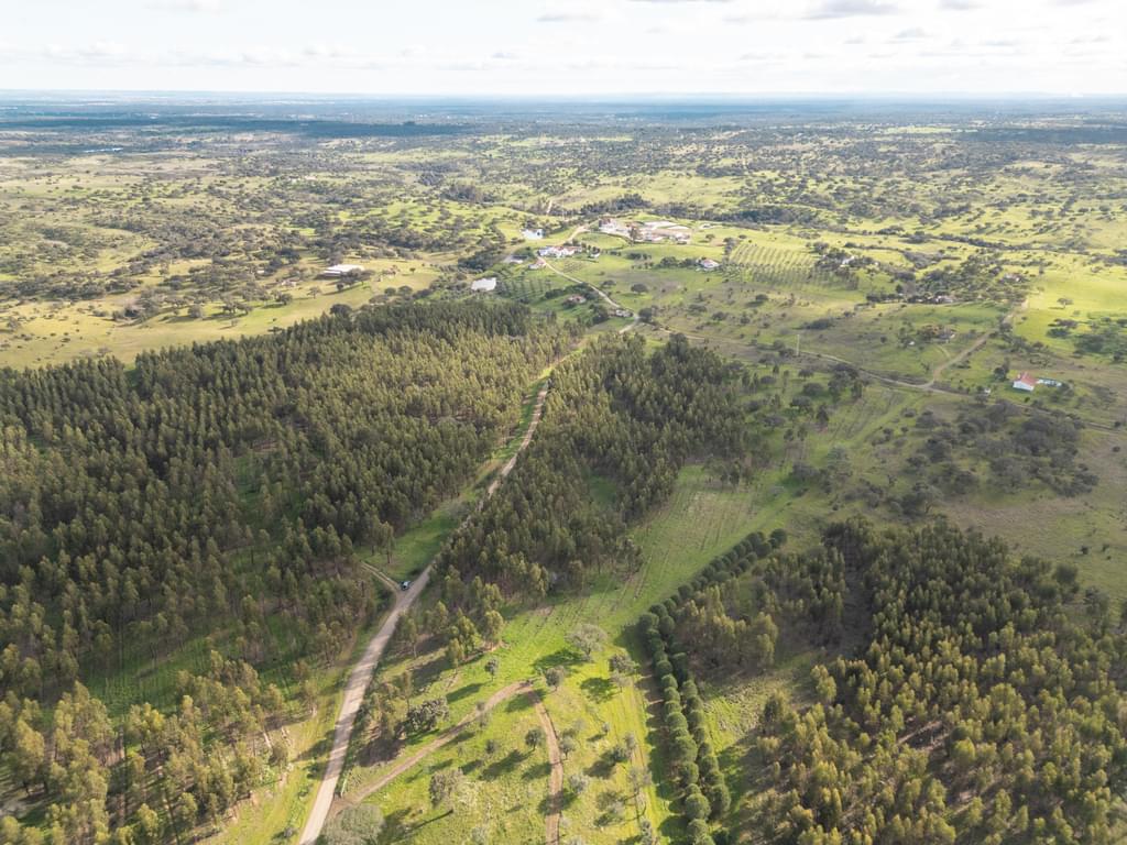 Rural land 16.0 ha, Azinheira dos Barros, Grandola 2111050164