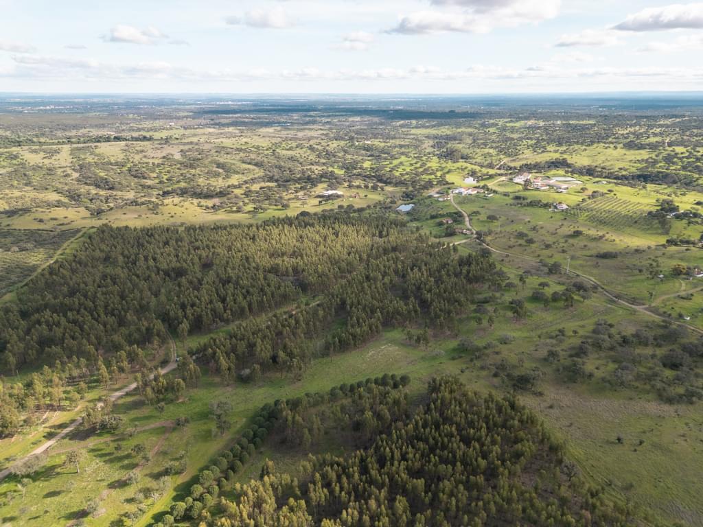 Rural land 16.0 ha, Azinheira dos Barros, Grandola 2111050164