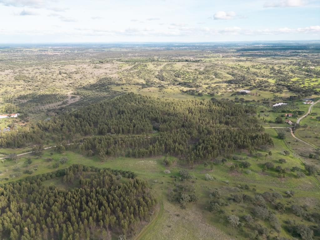 Rural land 16.0 ha, Azinheira dos Barros, Grandola 2111050164