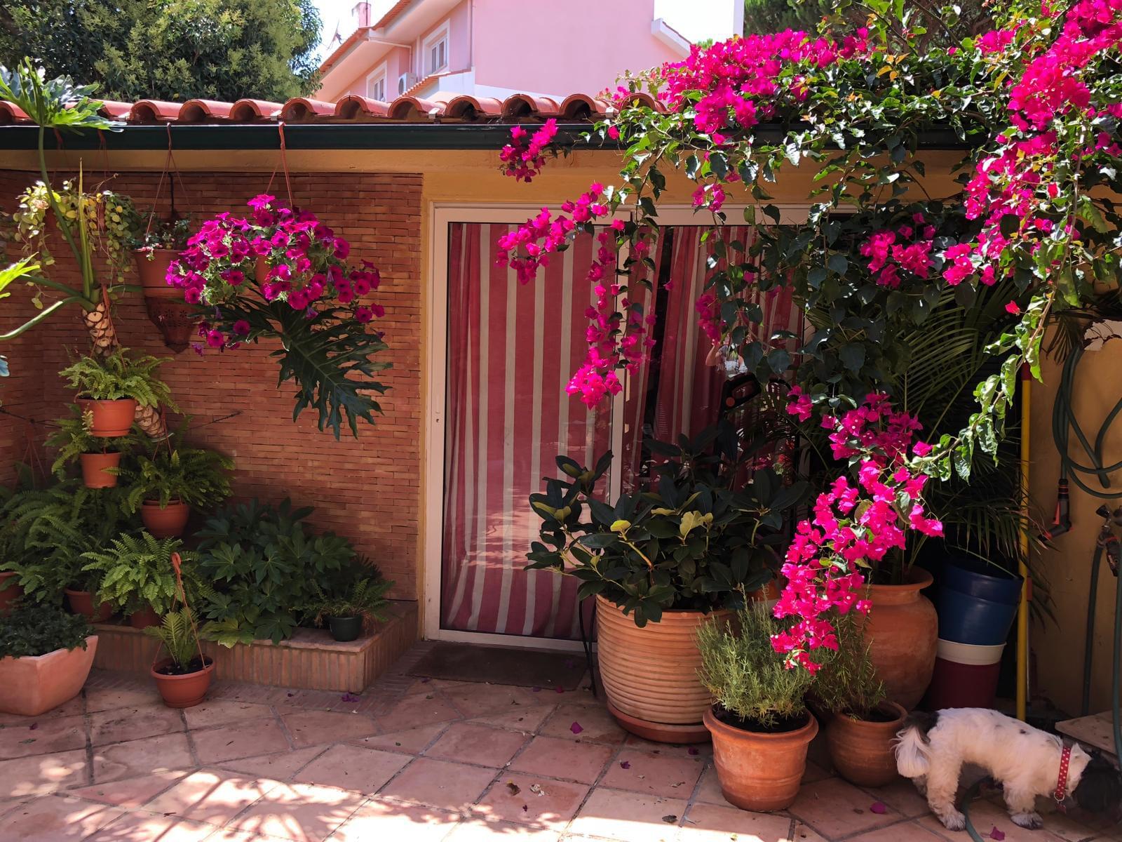 5 Bedroom Villa/Townhouse's Image 8