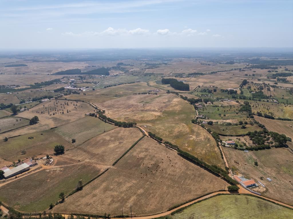 Rural land 19.7 ha, Cercal do Alentejo, Santiago do Cacem 958082693