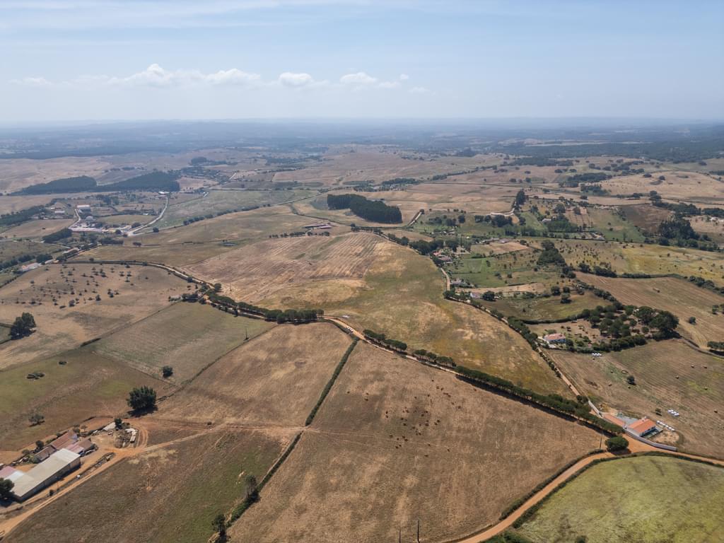Rural land 19.7 ha, Cercal do Alentejo, Santiago do Cacem 958082693