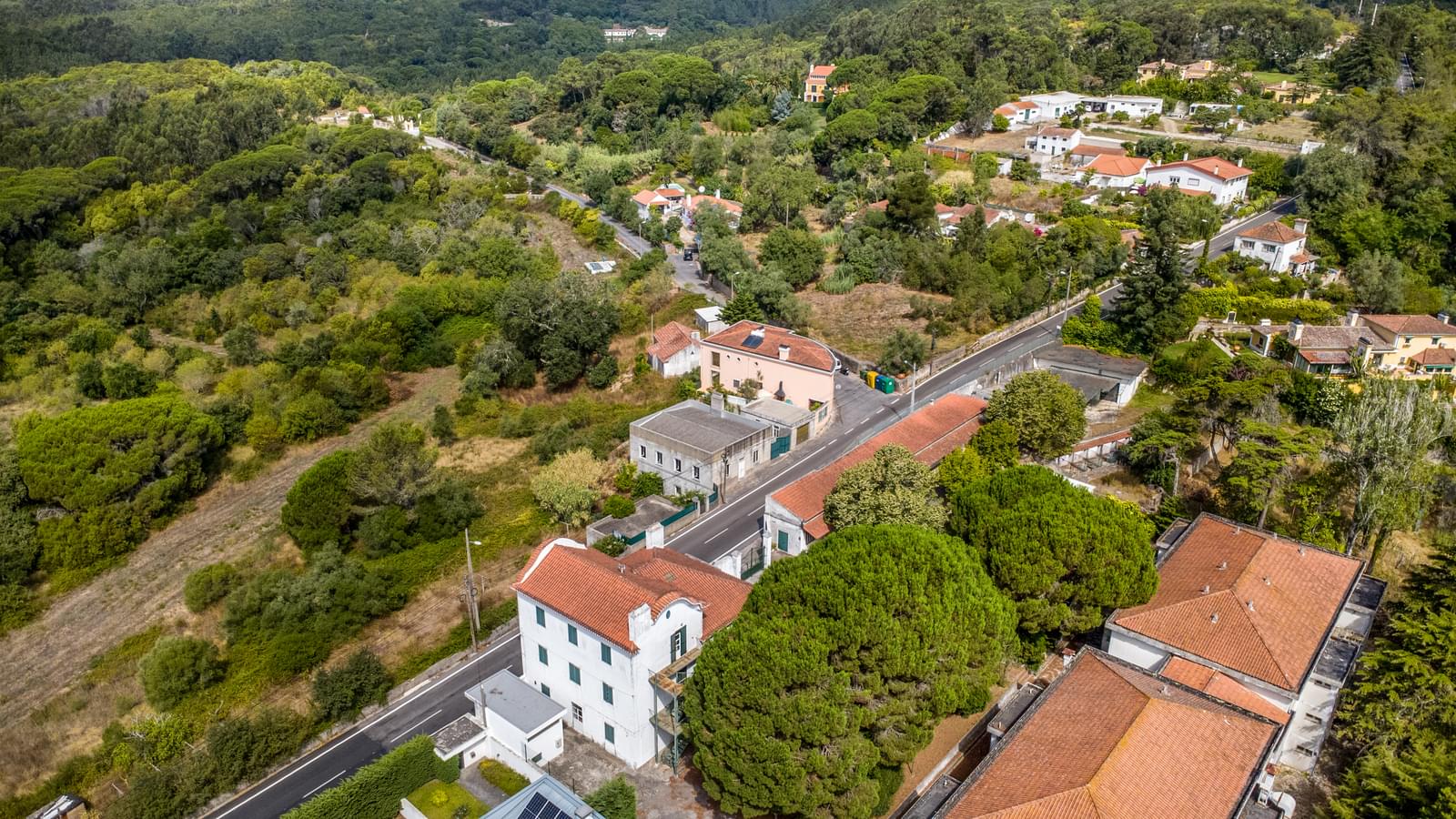 Quinta 13.2 ha, Sintra - Imagem 3