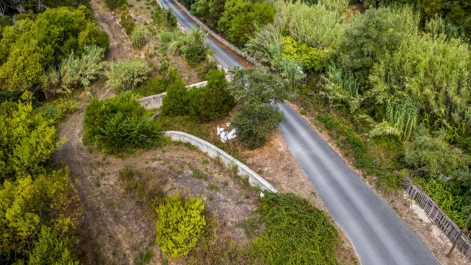 Quinta 13.2 ha, Sintra - Imagem 5