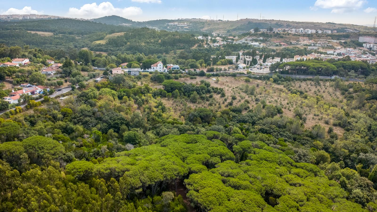 Quinta 13.2 ha, Sintra - Imagem 6