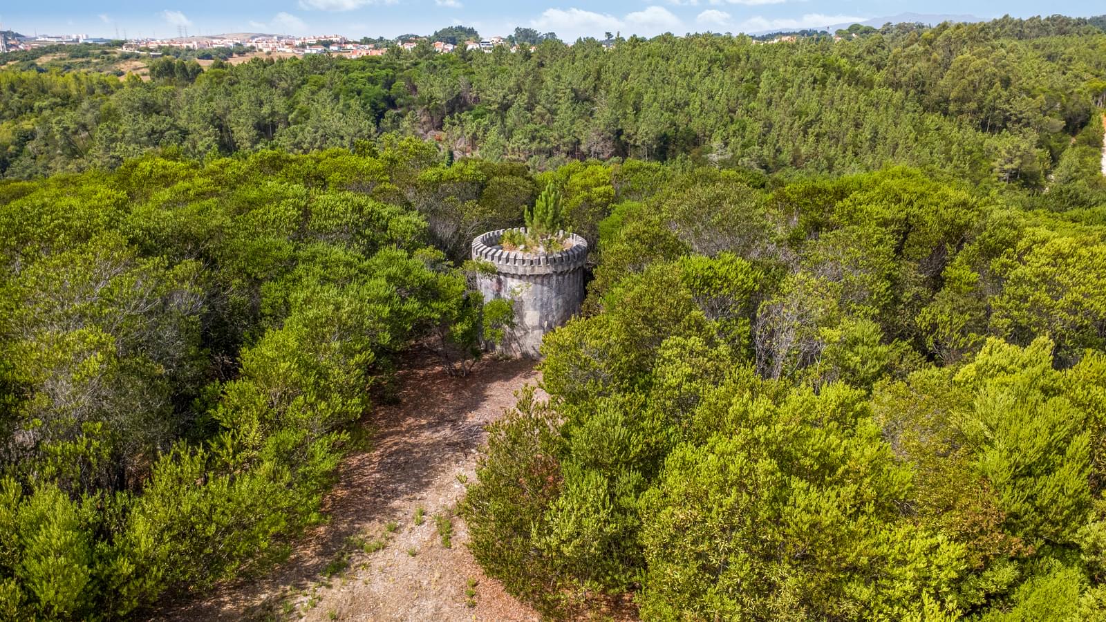 Quinta 13.2 ha, Sintra - Imagem 7