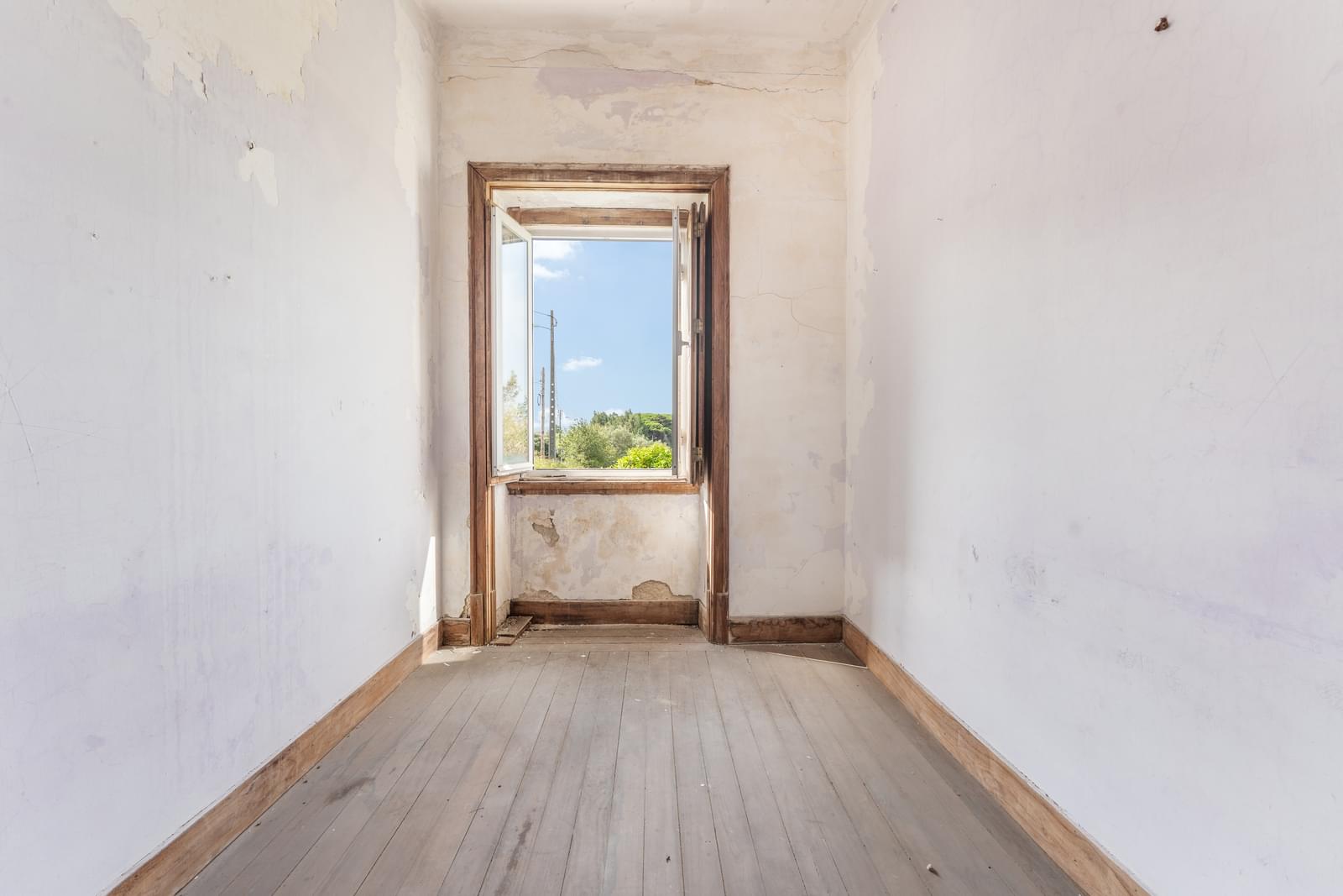 Quinta 13.2 ha, Sintra - Imagem 16