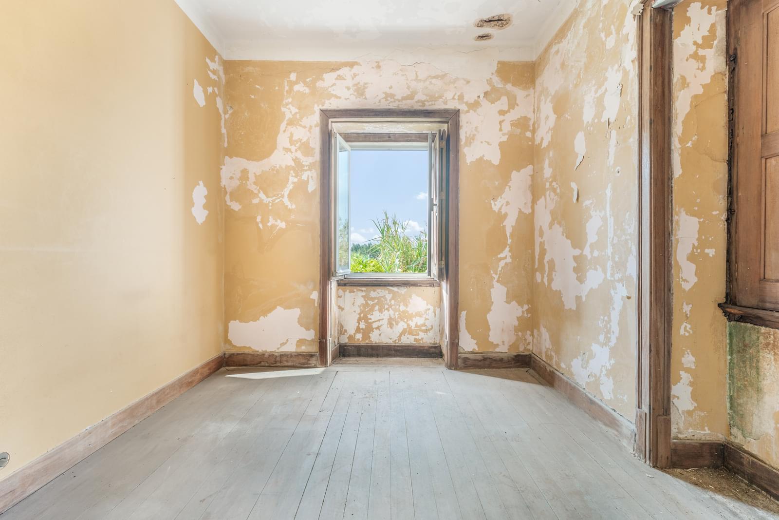 Quinta 13.2 ha, Sintra - Imagem 21