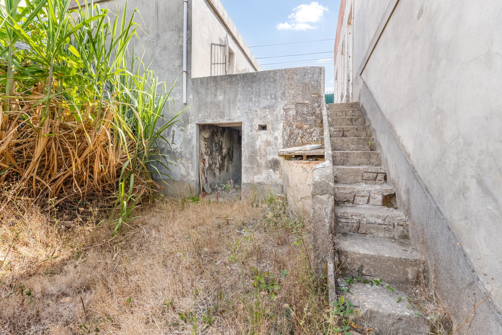 Quinta 13.2 ha, Sintra - Imagem 23