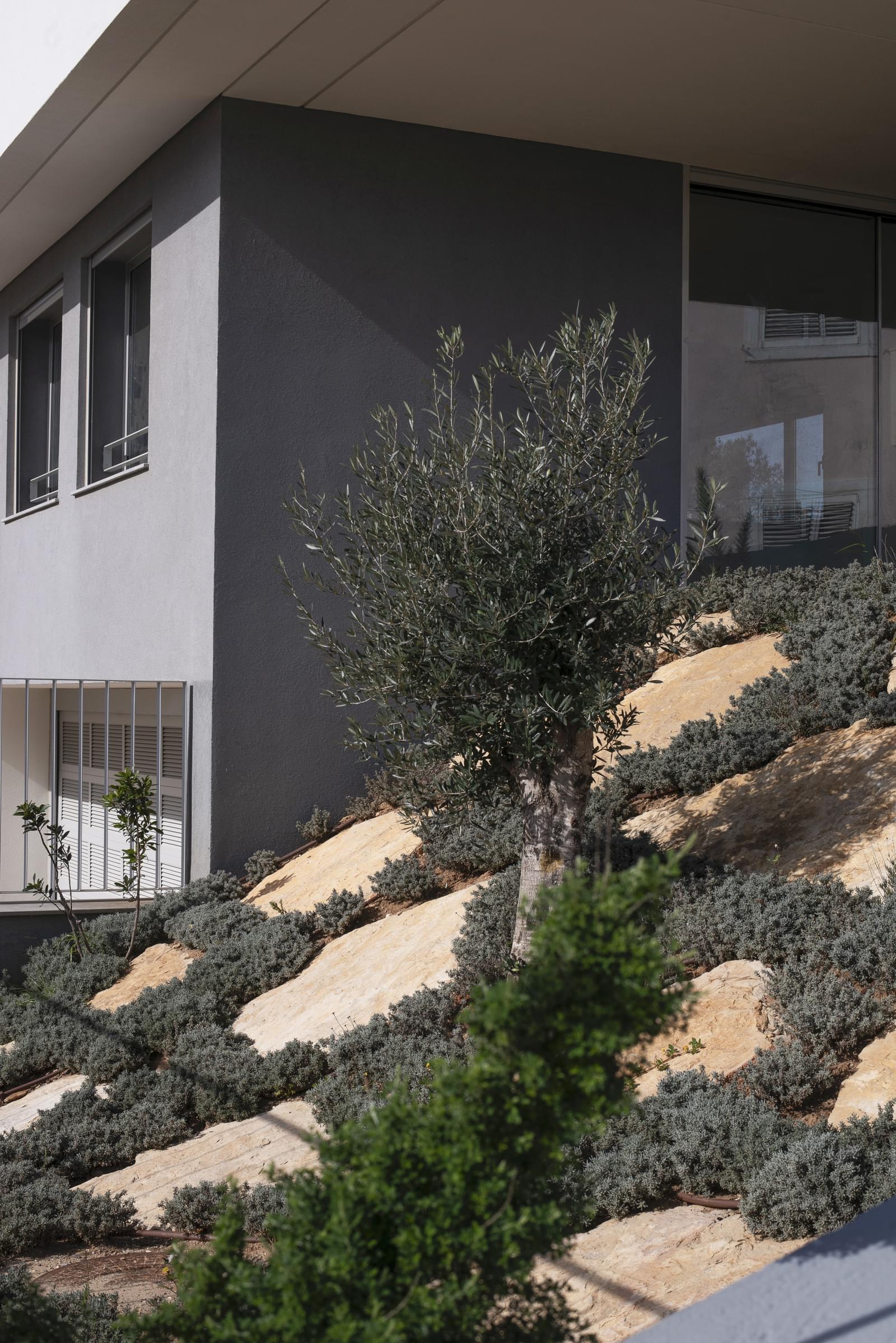 3 Bedroom Villa/Townhouse's Image 38