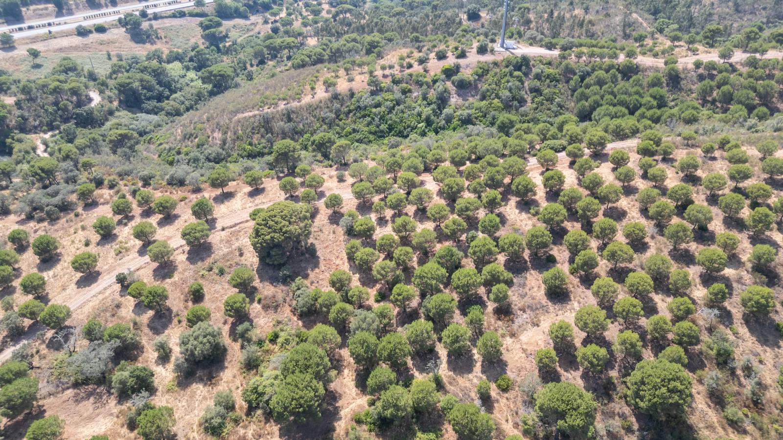 Herdade 4.0 ha, Álcacer do Sal, Alcacer do Sal - Imagem 40