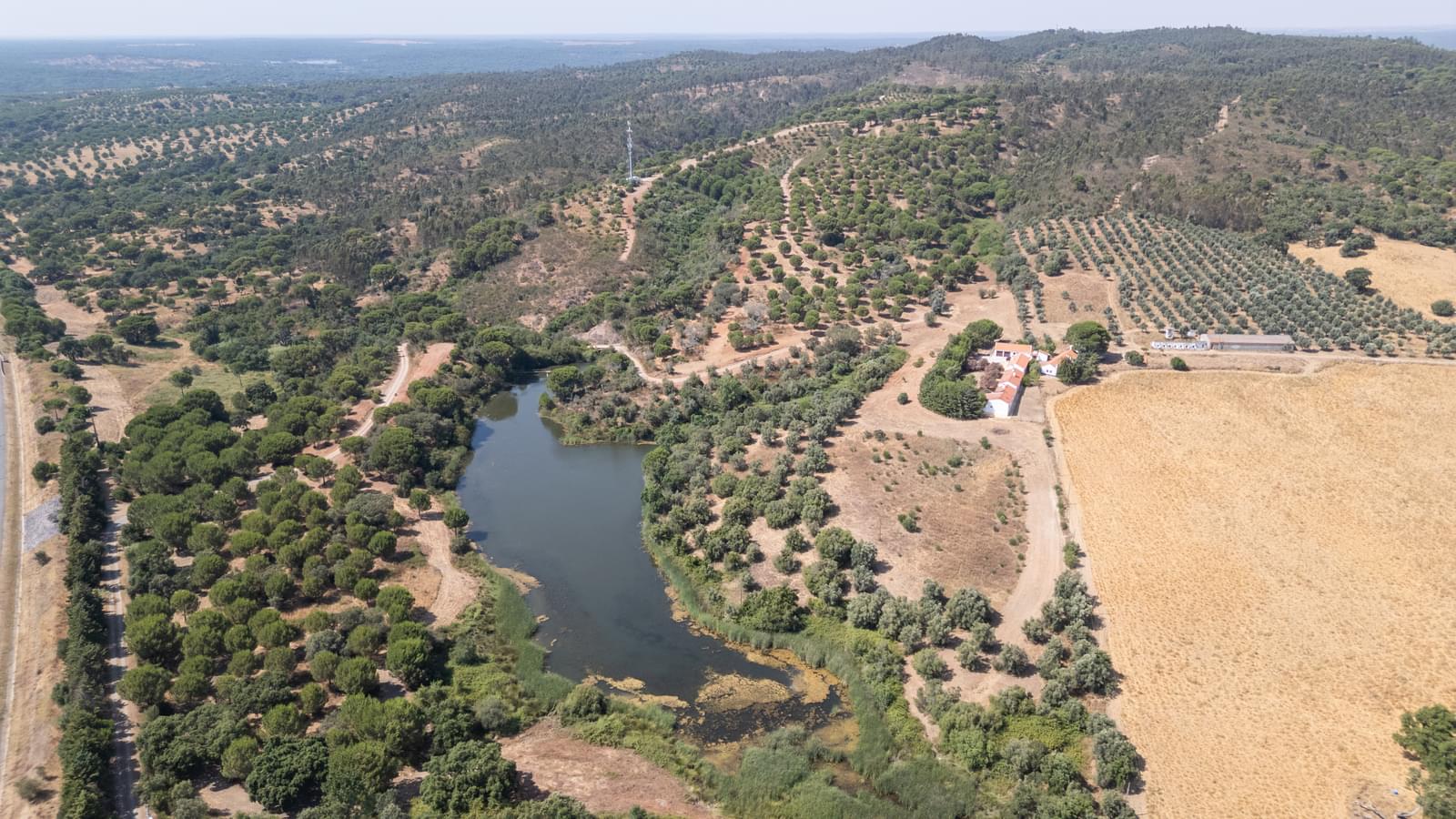 Herdade 4.0 ha, Álcacer do Sal, Alcacer do Sal - Imagem 34