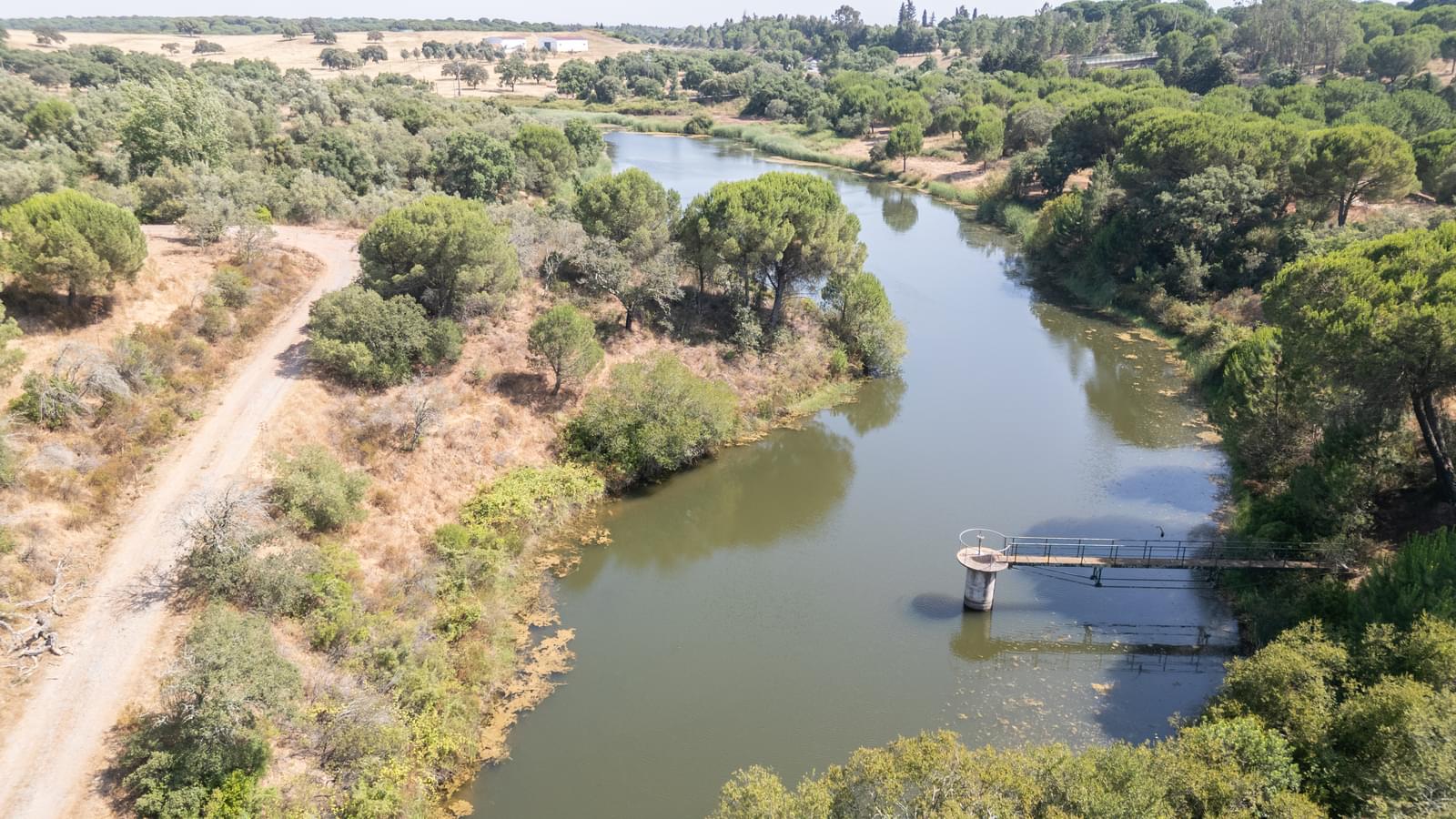 Herdade 4.0 ha, Álcacer do Sal, Alcacer do Sal - Imagem 38