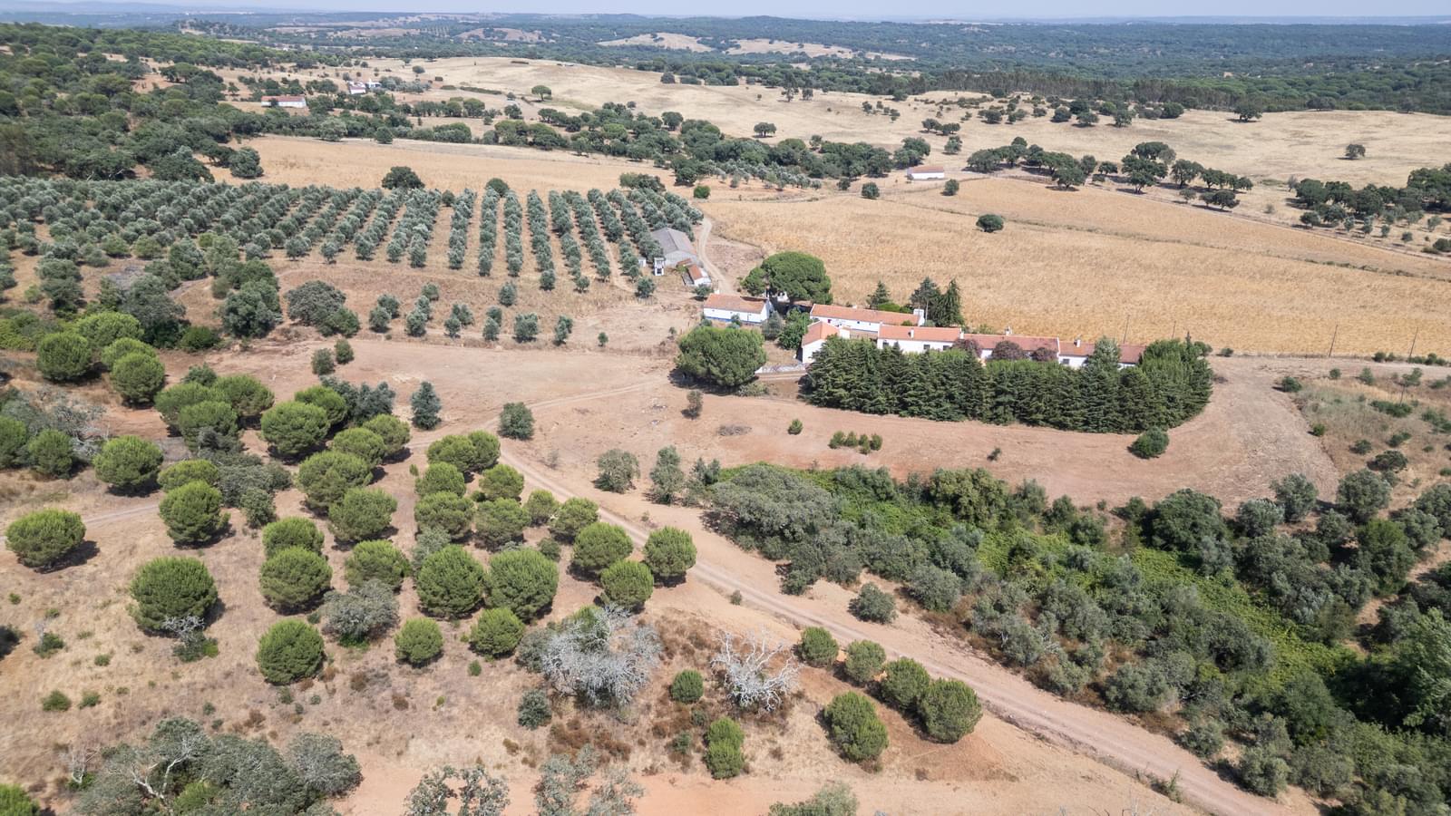 Herdade 4.0 ha, Álcacer do Sal, Alcacer do Sal - Imagem 39