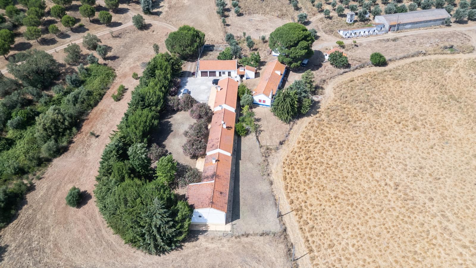 Herdade 4.0 ha, Álcacer do Sal, Alcacer do Sal - Imagem 32