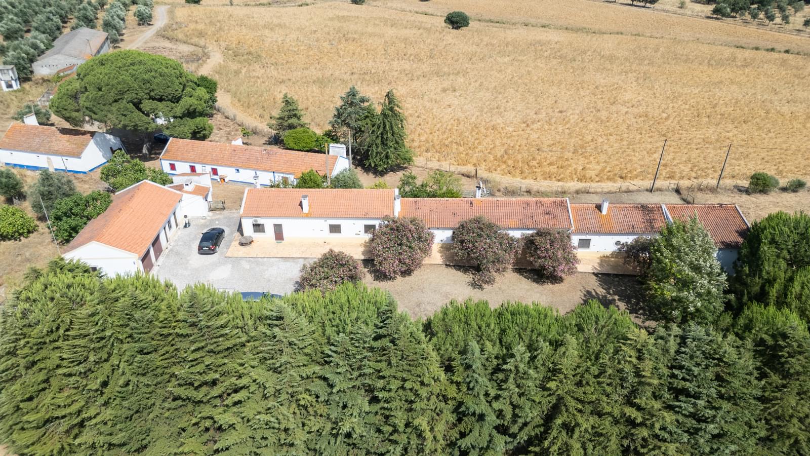 Herdade 4.0 ha, Álcacer do Sal, Alcacer do Sal - Imagem 2