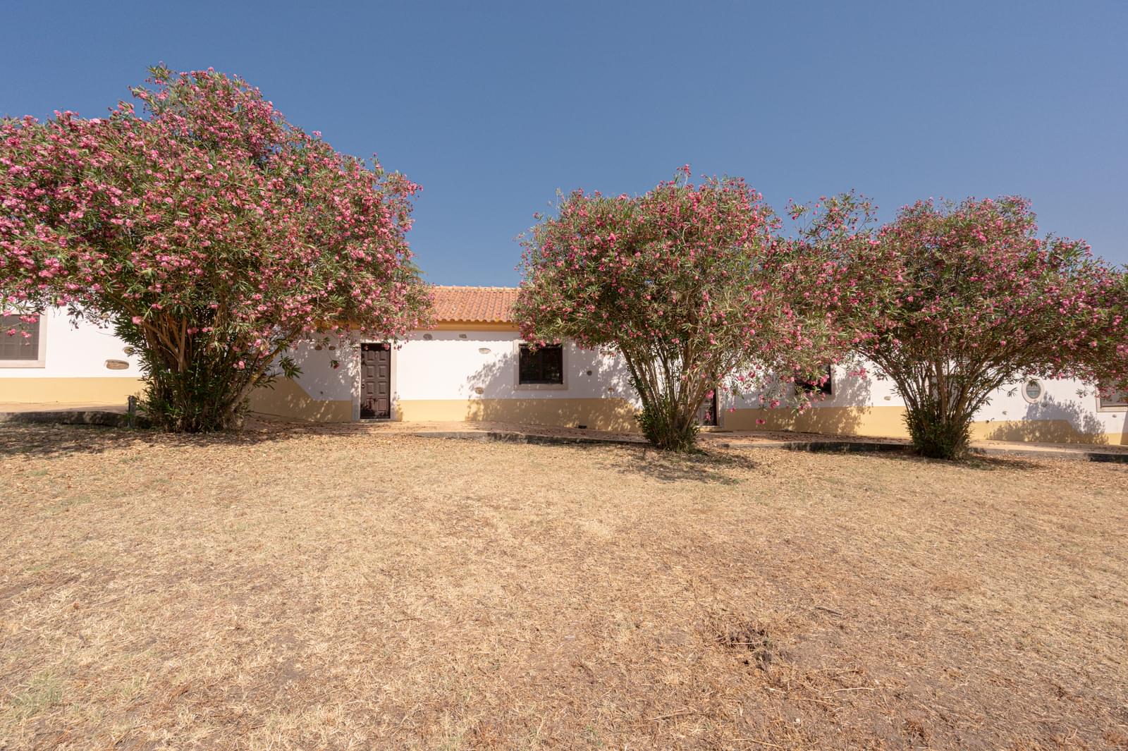 Herdade 4.0 ha, Álcacer do Sal, Alcacer do Sal - Imagem 28