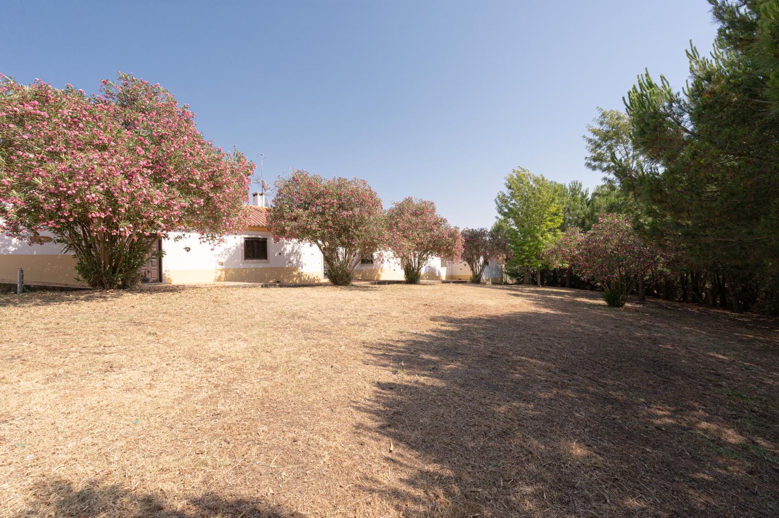 Herdade 4.0 ha, Álcacer do Sal, Alcacer do Sal - Imagem 29