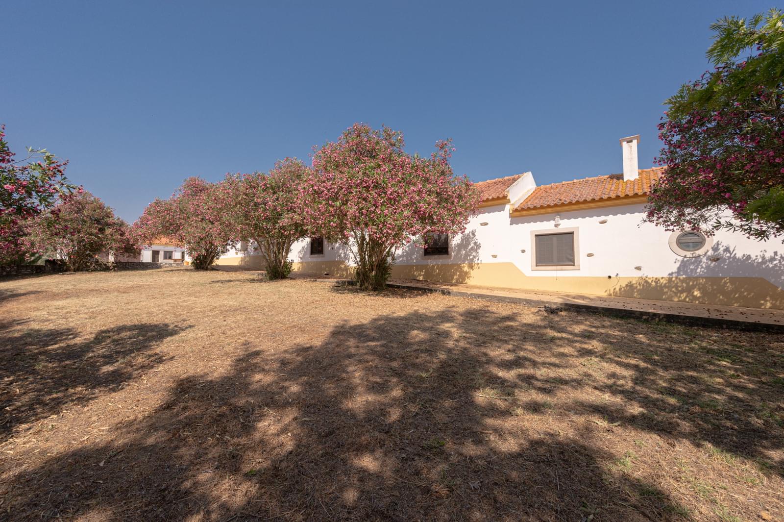 Herdade 4.0 ha, Álcacer do Sal, Alcacer do Sal - Imagem 30