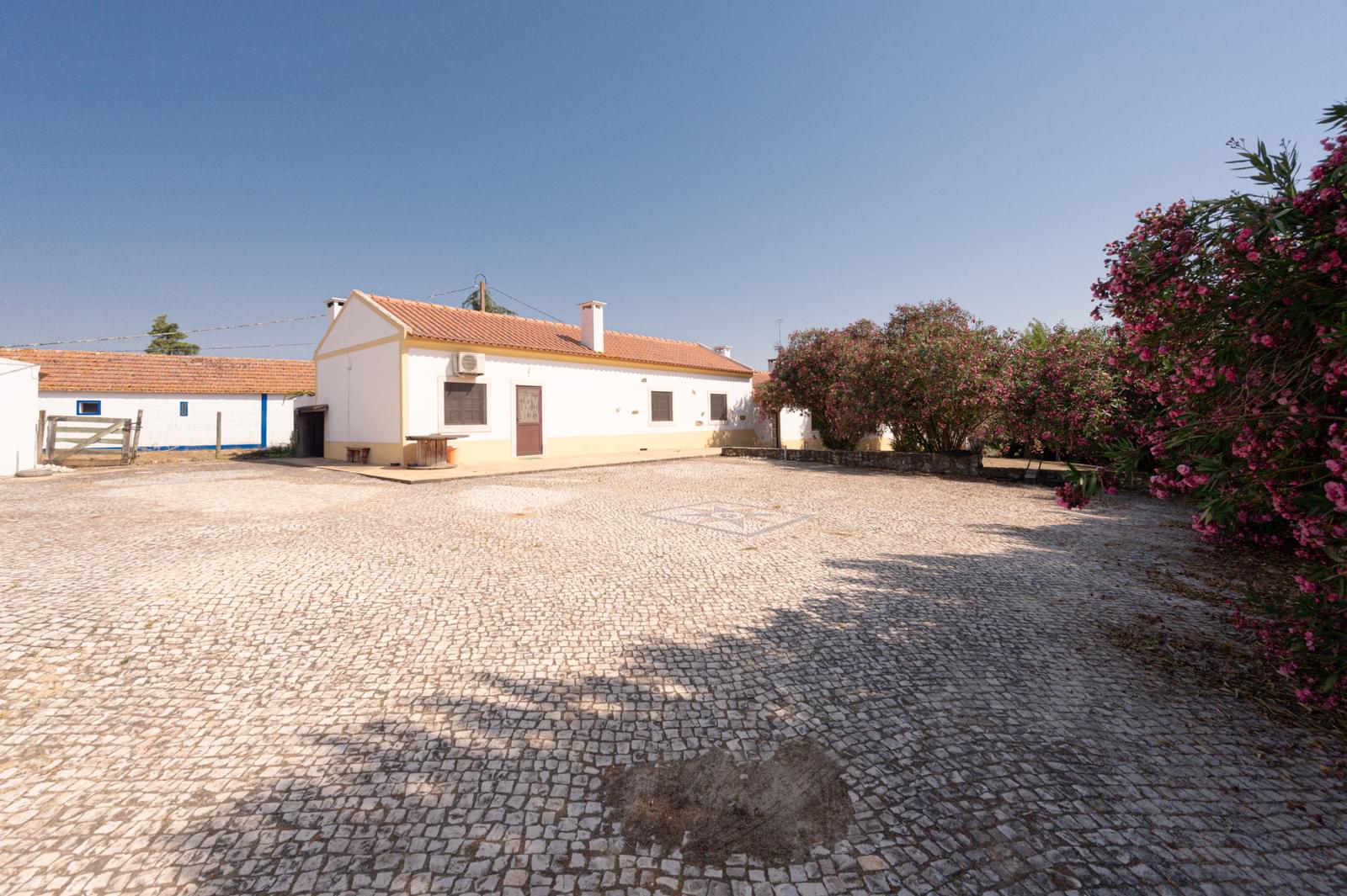 Herdade 4.0 ha, Álcacer do Sal, Alcacer do Sal - Imagem 27