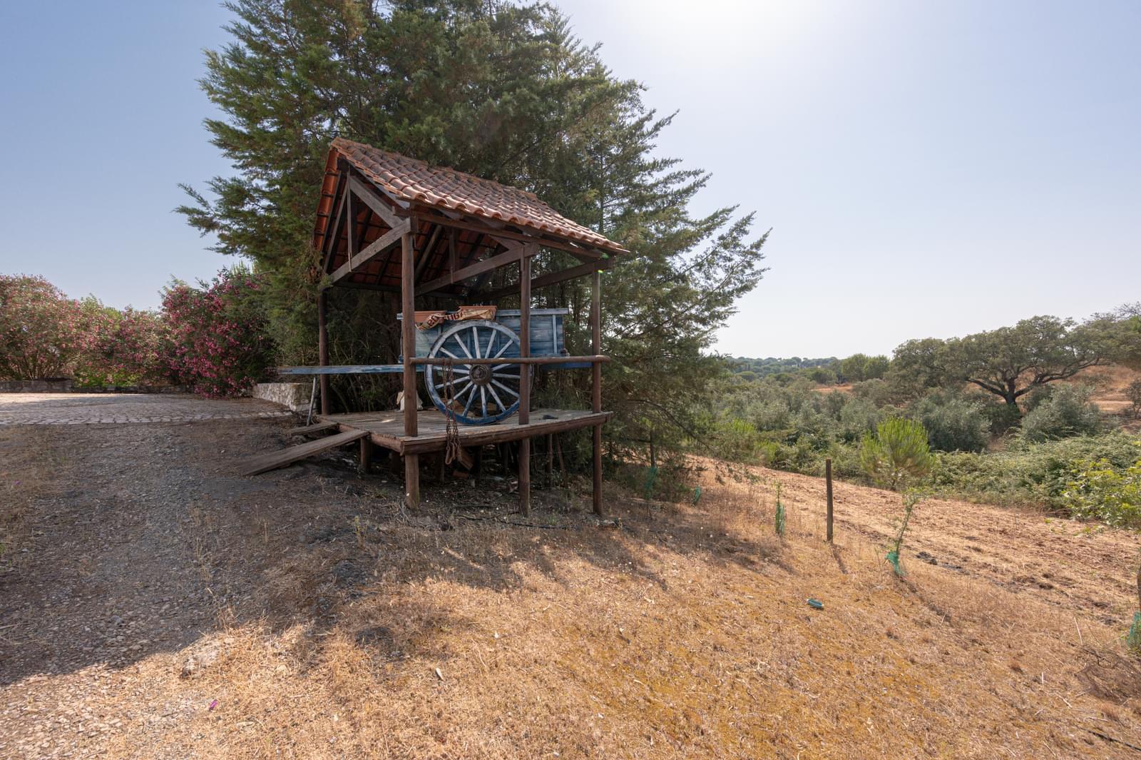 Herdade 4.0 ha, Álcacer do Sal, Alcacer do Sal - Imagem 41