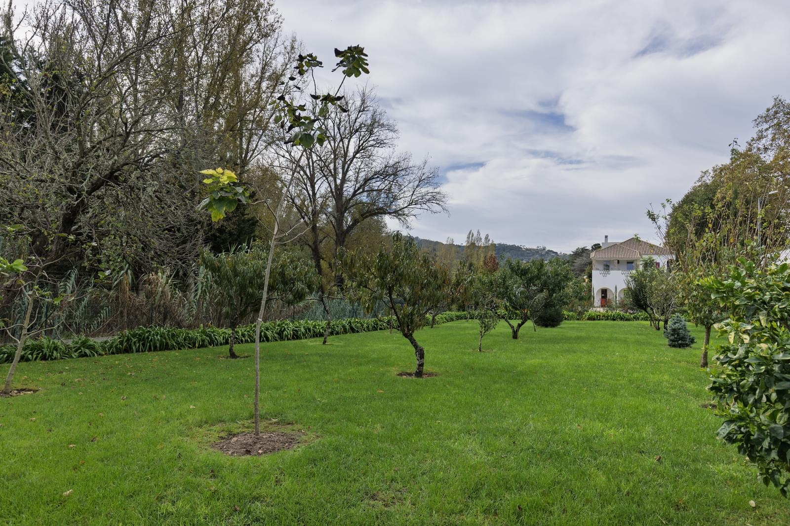 Moradia T5 com piscina, Galamares, Sintra - Imagem 110