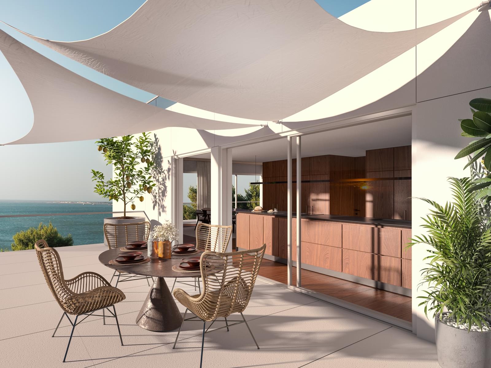 Quinta do Cedro - Image 20