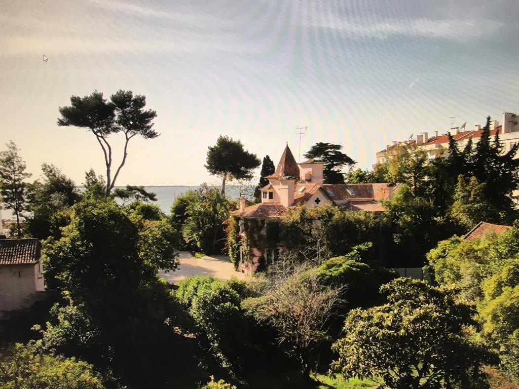 Quinta do Cedro - Image 22