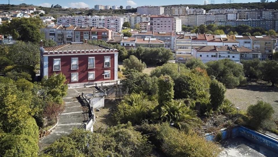 Terreno 1.1 ha, Sintra - Imagem 6