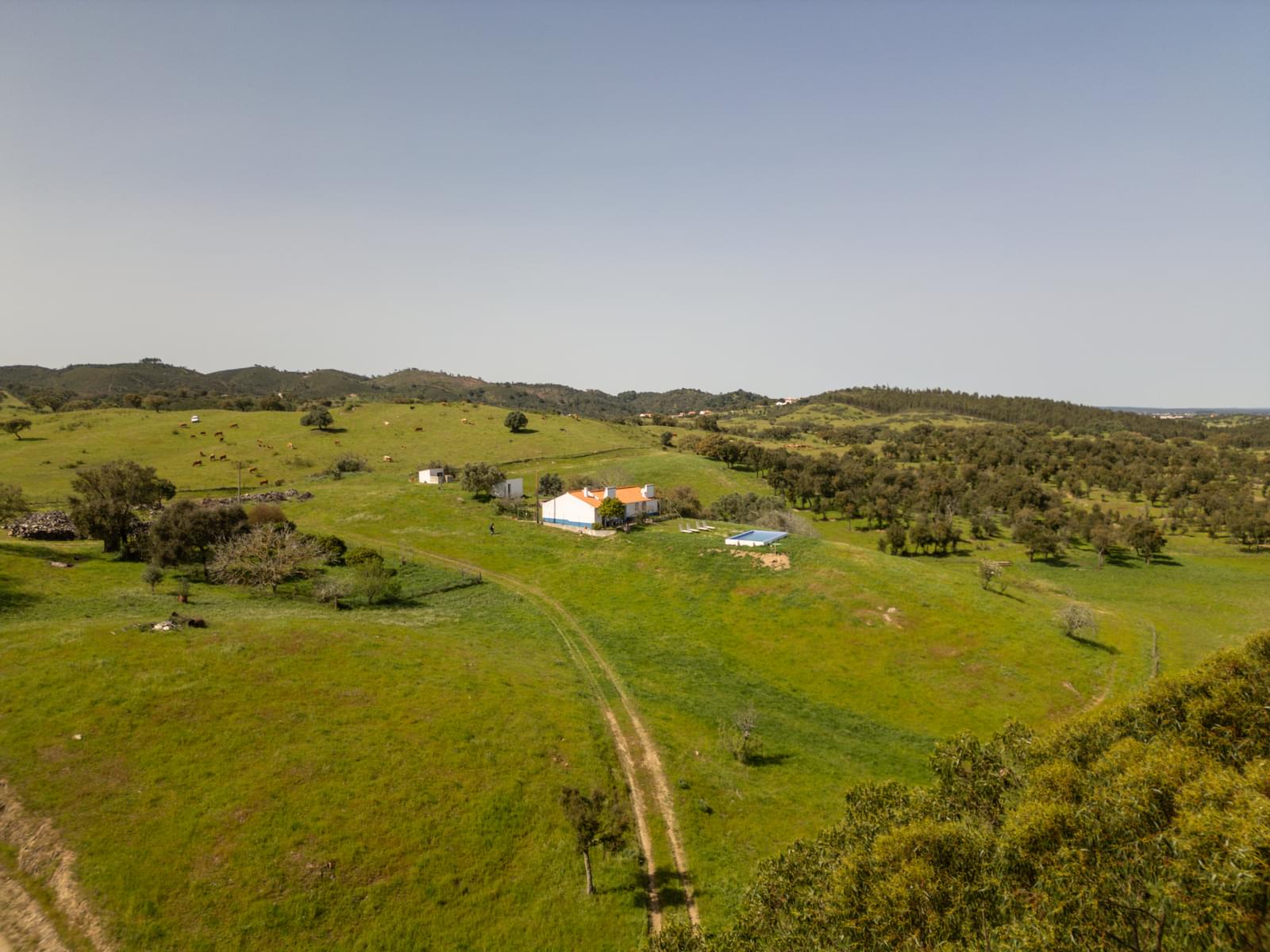 Quinta 40.6 ha, Grandola - Imagem 2