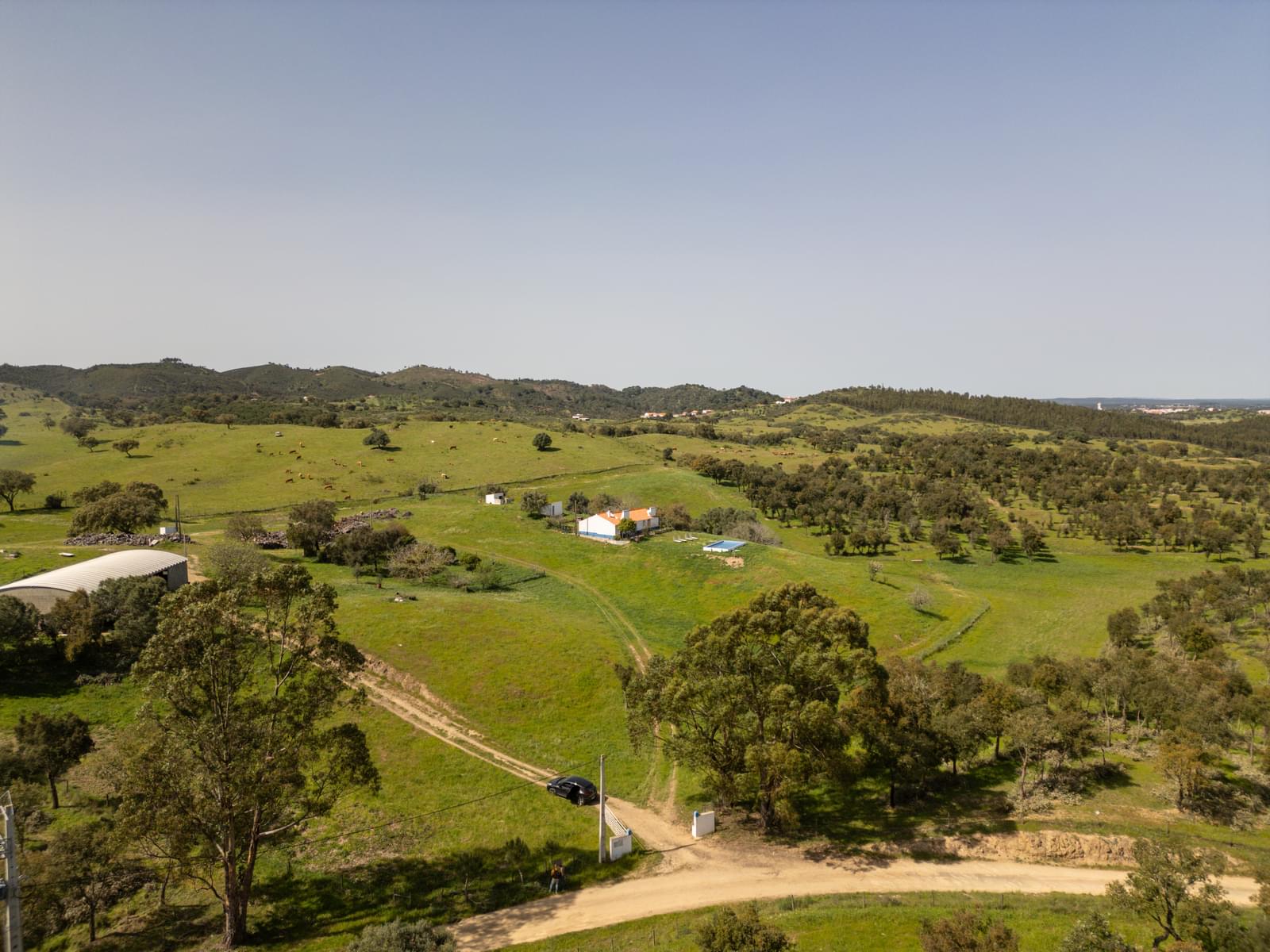 Quinta 40.6 ha, Grandola - Imagem 3