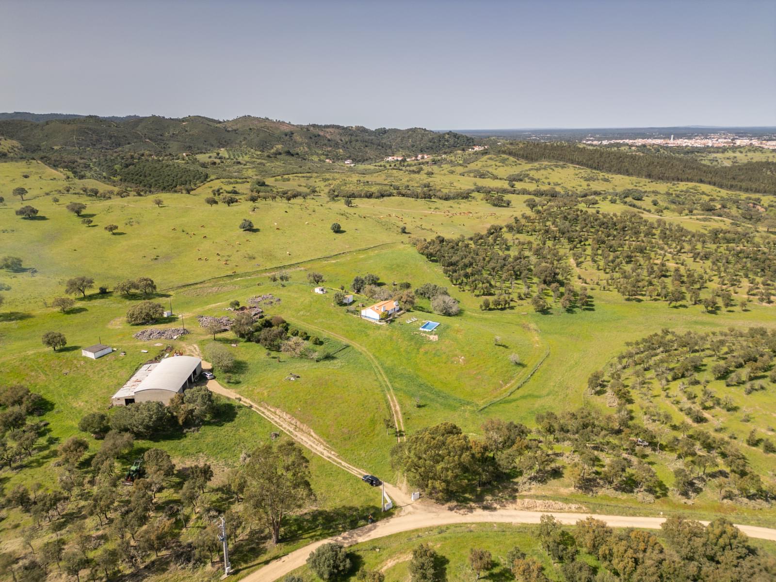 Quinta 40.6 ha, Grandola - Imagem 4