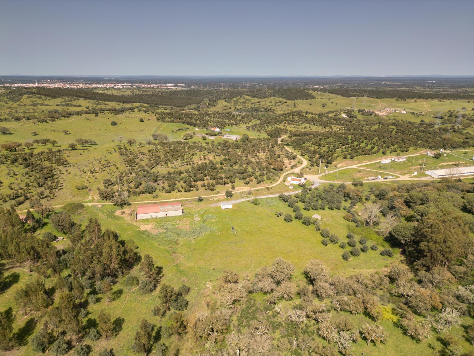 Quinta 40.6 ha, Grandola - Imagem 6